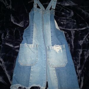 Forever 21 Denim Zip Up Dress